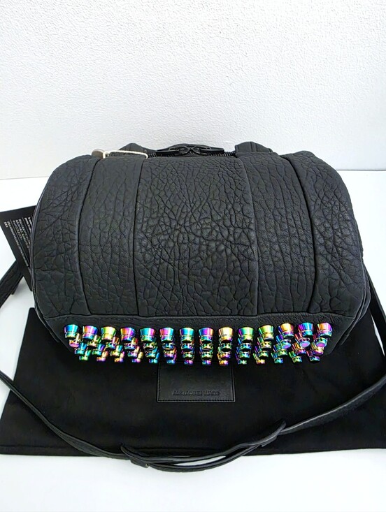 Alexander Wang Handbags - NWT Alexander Wang Iridescent Rockie